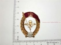 ЗНАК ВУ СССР ВОЗДУШНО-ДЕСАНТНОЕ
