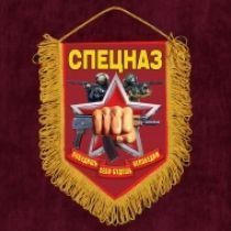 Презентабельный вымпел 