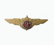 Знак 2 Класс ГФС