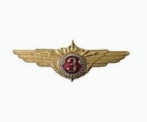 Знак 3 Класс ГФС