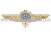 Знак Классности ГВФ Пилот 1 класс