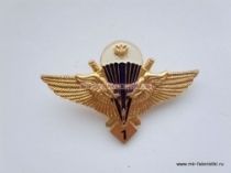 ЗНАК КЛАССНОСТЬ ВДВ 1 КЛАСС