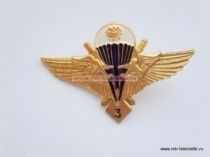 ЗНАК КЛАССНОСТЬ ВДВ 3 КЛАСС