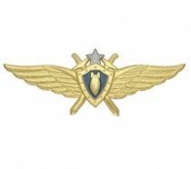 Знак Классность ВВС летчик-штурман (голубой щит, серебряная звезда, мечи) нов/обр