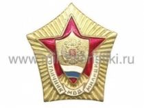 ЗНАК ОТЛИЧНИК МВД, ОТЛИЧНИК МИЛИЦИИ РФ (переходный)
