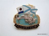 ЗНАК СПЕЦНАЗ КАСФ LX КАСПИЙСКАЯ ФЛОТИЛИЯ