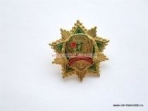 ЗНАК ВЕТЕРАН ГРАНИЦЫ (ЗЕЛЕНЫЙ ФОН)