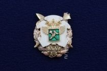 Знак XV Таможня 15 лет