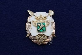 Знак XV Таможня 15 лет